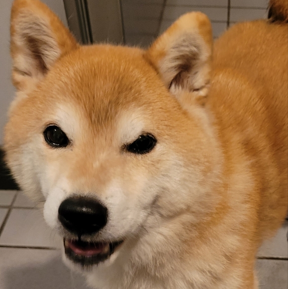 Meet your Posher, Jaclyn - Picture 1 of 1